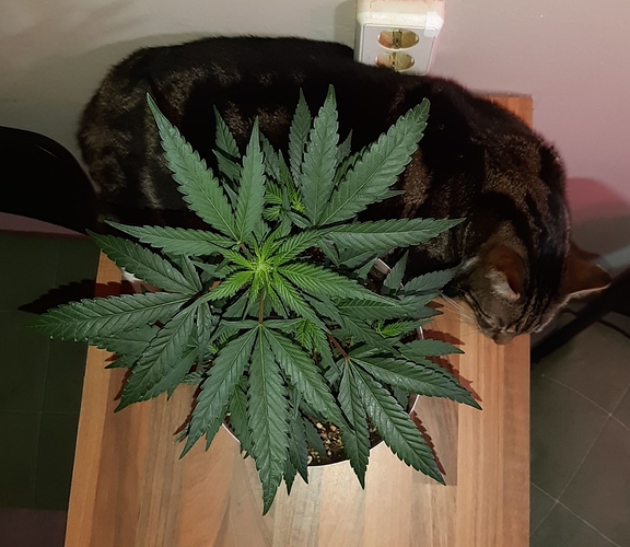 Growreport Bild 11