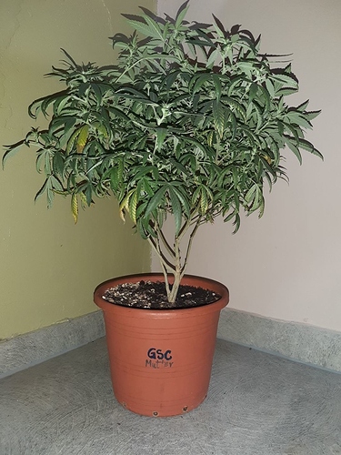 Growreport Bild 10