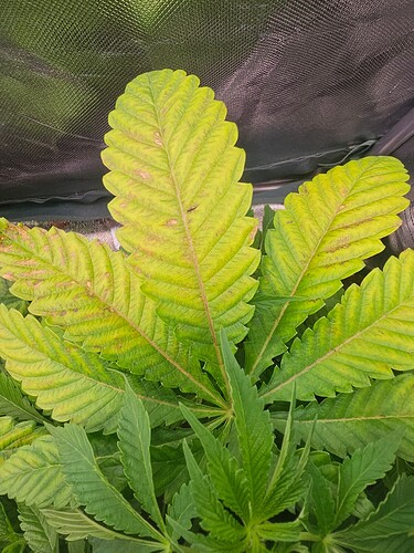 Growreport Bild 7