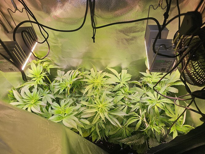 Growreport Bild 5