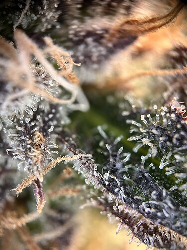 Growreport Bild 11
