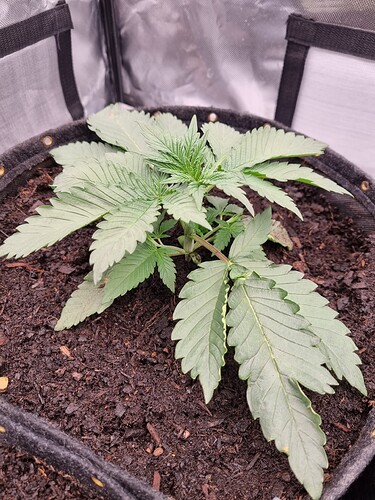Growreport Bild 20