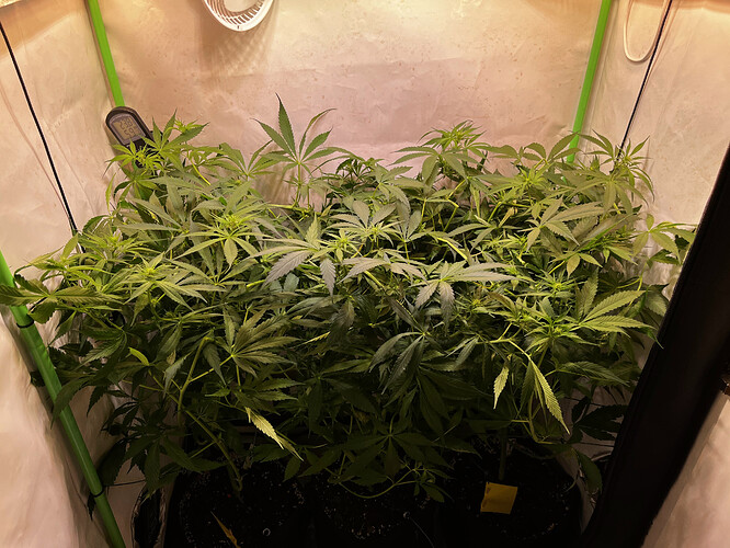 Growreport Bild 10