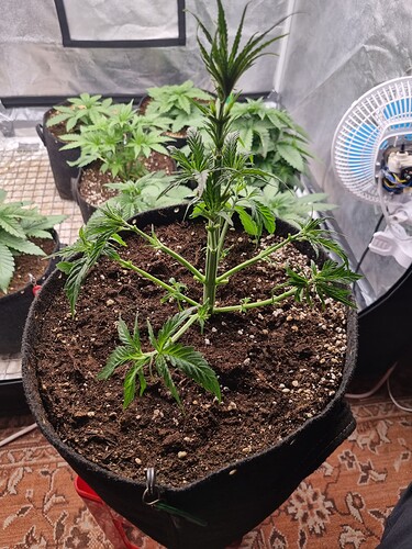 Growreport Bild 22
