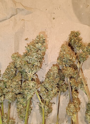 Growreport Bild 1