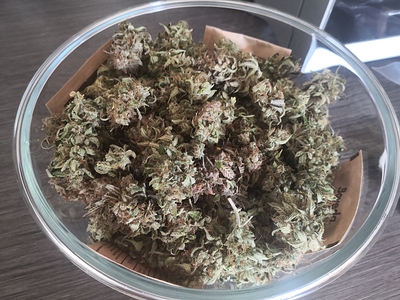 Growreport Bild 1