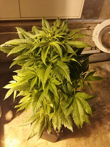 Growreport Bild 7