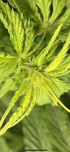 Growreport Bild 3
