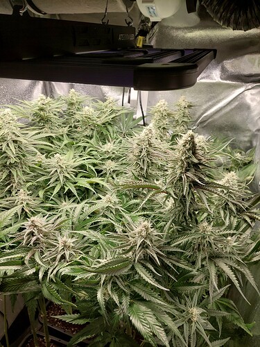 Growreport Bild 5
