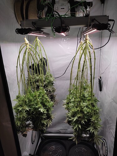 Growreport Bild 16