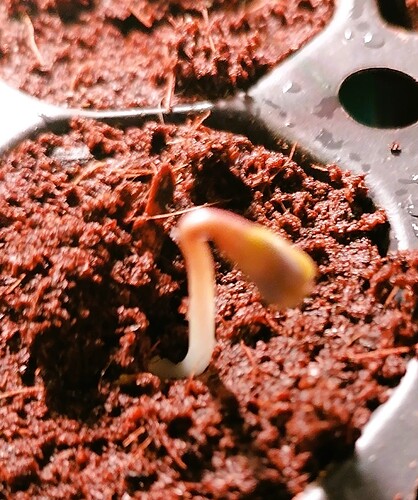 Growreport Bild 17