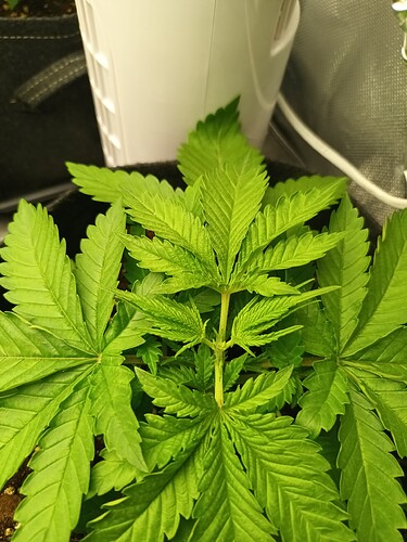 Growreport Bild 13