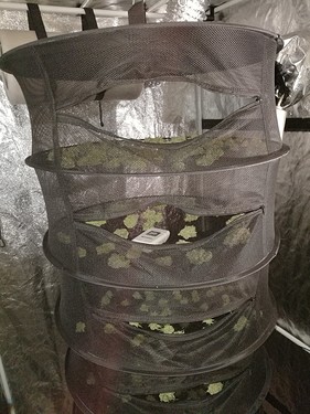 Growreport Bild 54