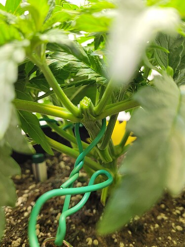 Growreport Bild 8