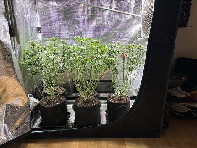 Growreport Bild 23
