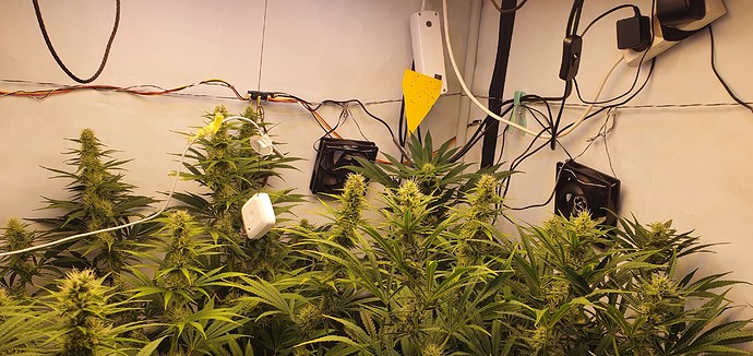 Growreport Bild 1