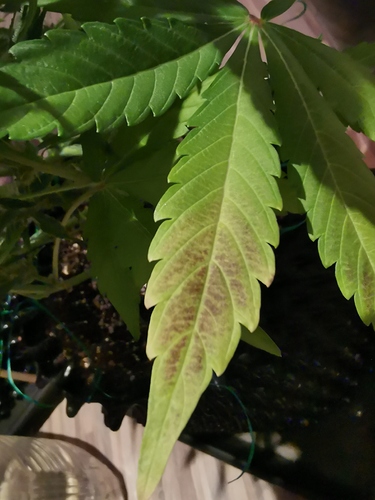Growreport Bild 14