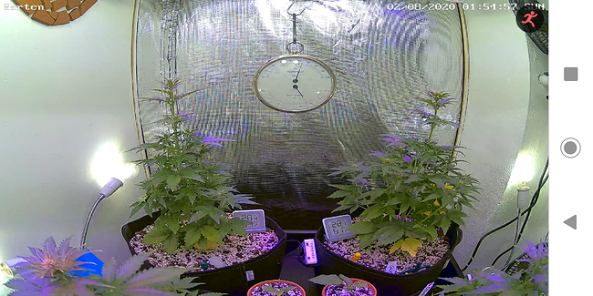Growreport Bild 6