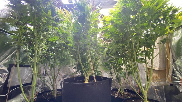 Growreport Bild 17