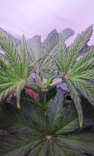 Growreport Bild 26