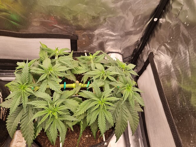 Growreport Bild 9