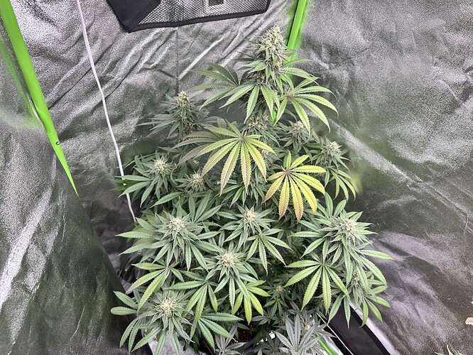 Growreport Bild 30