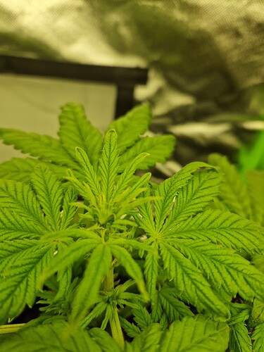 Growreport Bild 10