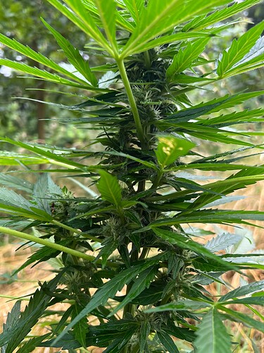 Growreport Bild 14