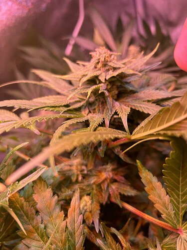 Growreport Bild 14