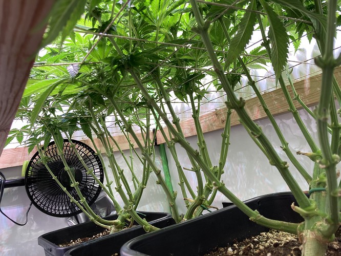 Growreport Bild 10