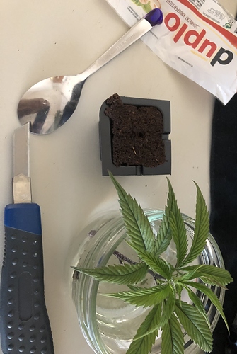 Growreport Bild 10