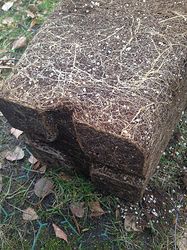 Growreport Bild 16