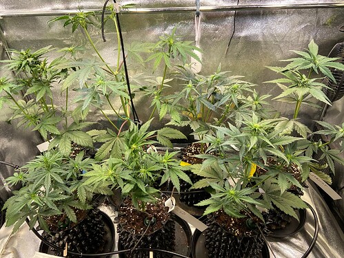 Growreport Bild 3