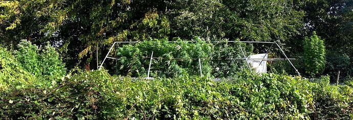 Growreport Bild 11