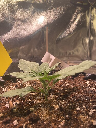 Growreport Bild 12