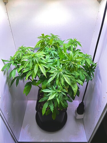 Growreport Bild 11