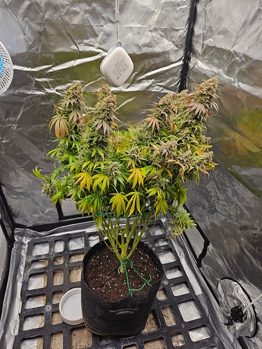 Growreport Bild 15