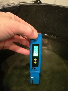 Growreport Bild 28