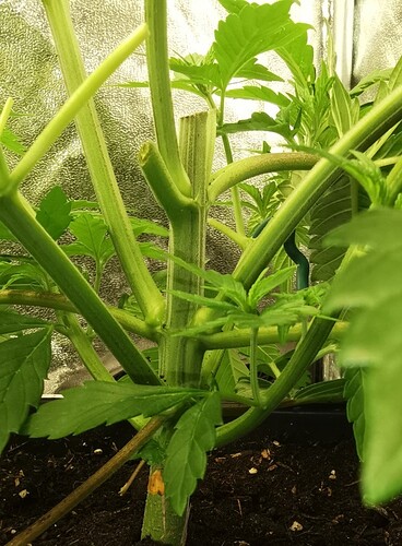 Growreport Bild 11