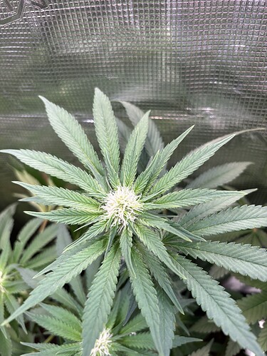 Growreport Bild 21