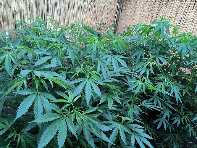 Growreport Bild 16