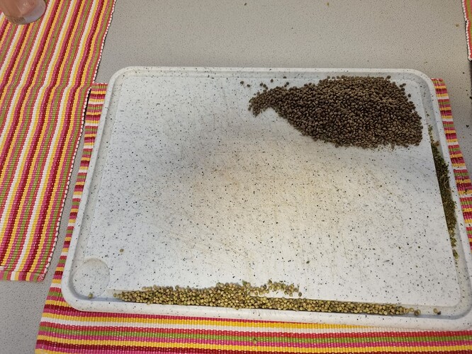 Growreport Bild 14