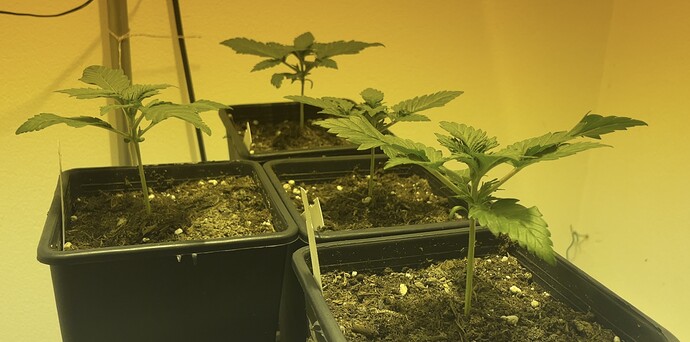 Growreport Bild 15