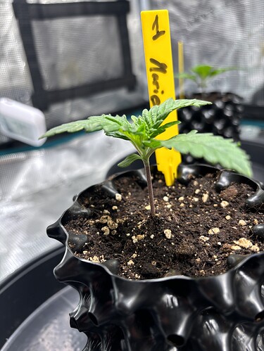 Growreport Bild 24
