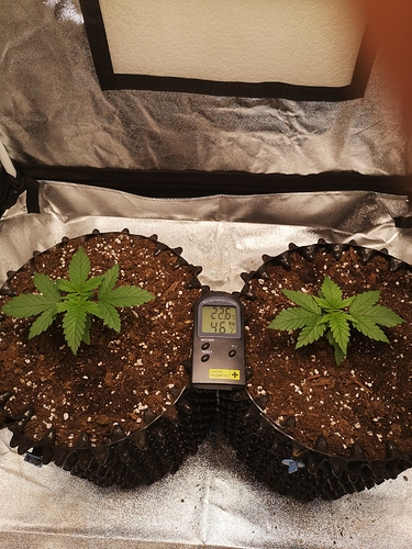 Growreport Bild 12