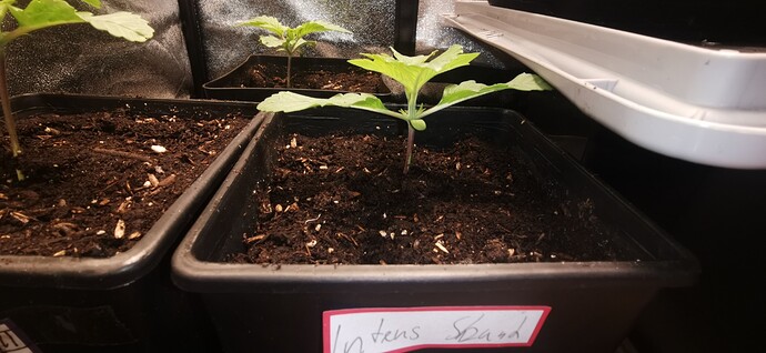 Growreport Bild 23