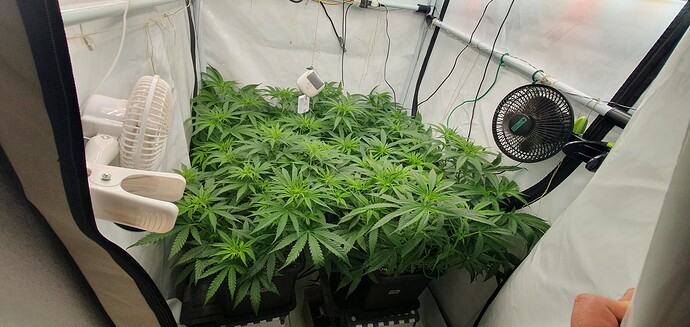 Growreport Bild 1