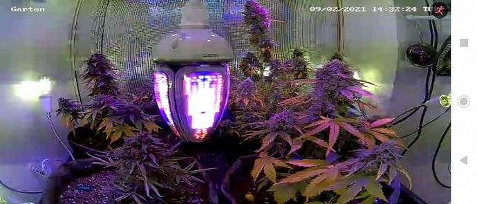 Growreport Bild 10