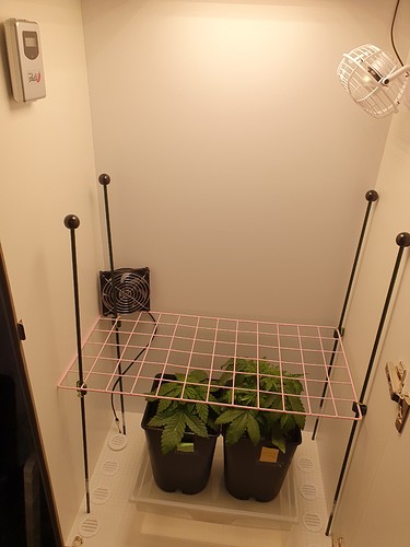 Growreport Bild 1