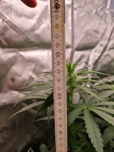 Growreport Bild 15